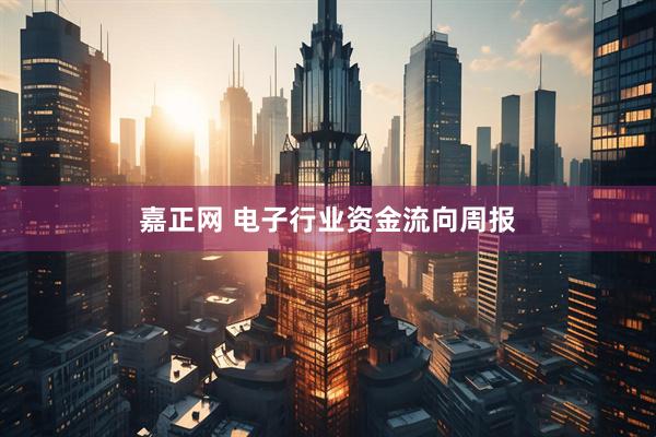 嘉正网 电子行业资金流向周报